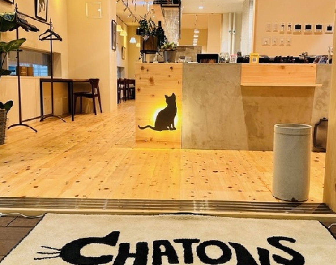 店内イメージ